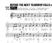 Freddy Fender: Before The Next Teardrop Falls hoesje
